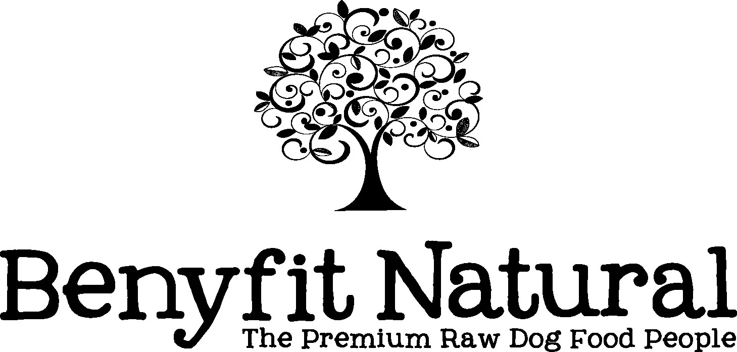 Benyfit Natural